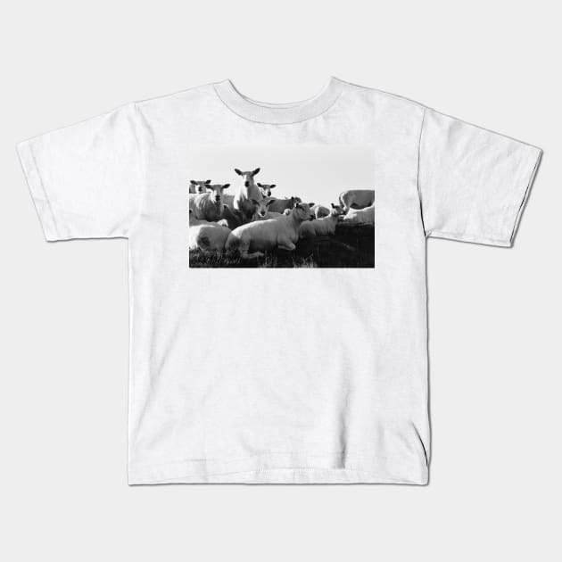 Norwegian Sheep Kids T-Shirt by ztrnorge